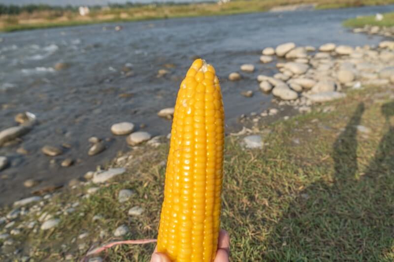 corn on cob with river in background