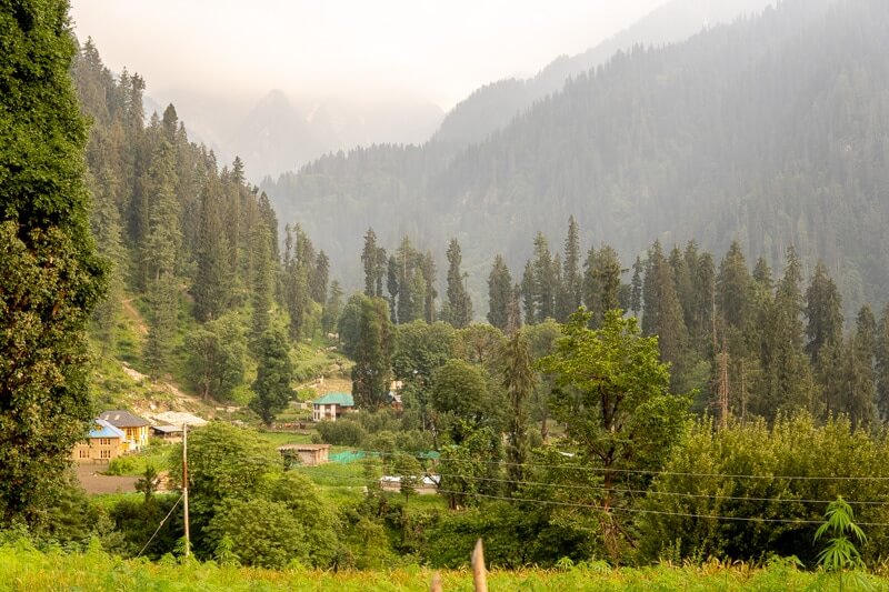 lush green forest views of grahan village