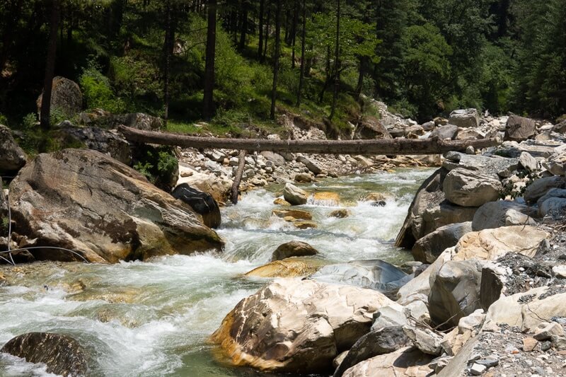 Tree branch bridge on the way to grahan village
