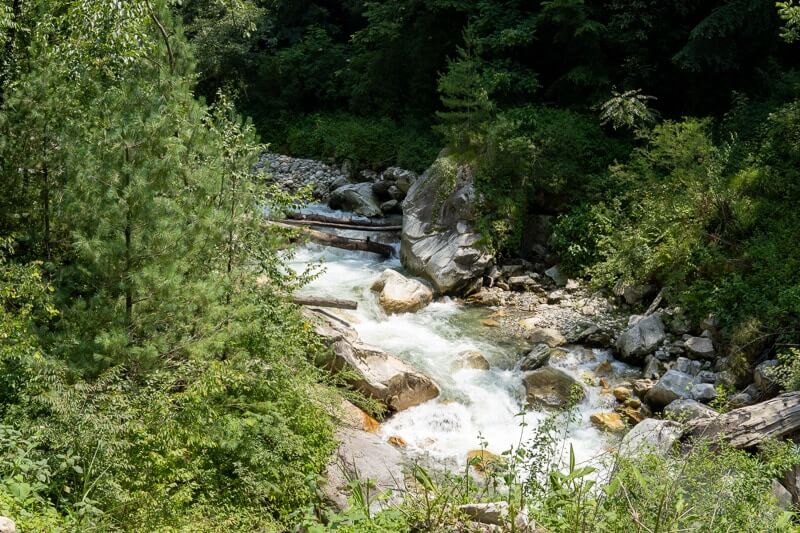 light green waterfall flowing through a forest