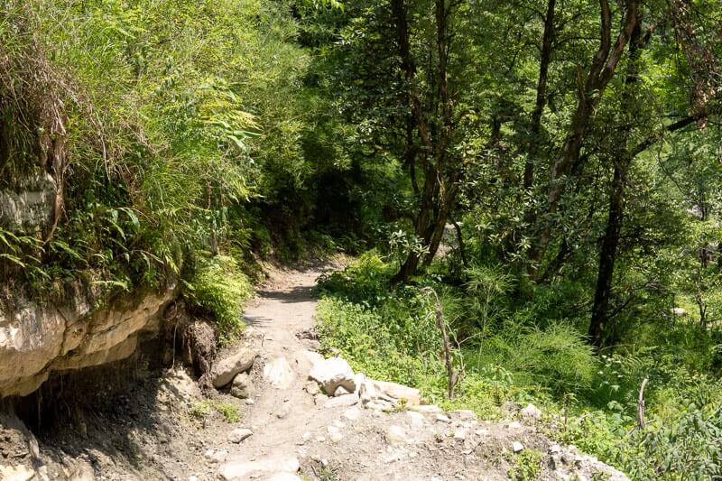 dirt path in the forest that leads to grahan